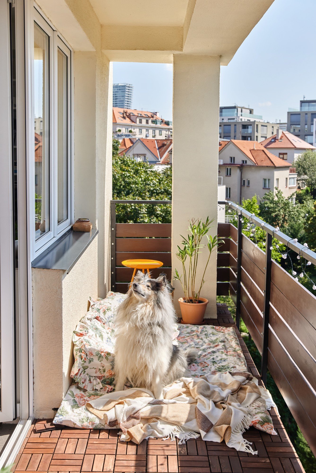 Pihenősarok, ami a kis kedvencnek is megfelel? Kültéri matrac, néhány párna és egy puha takaró.