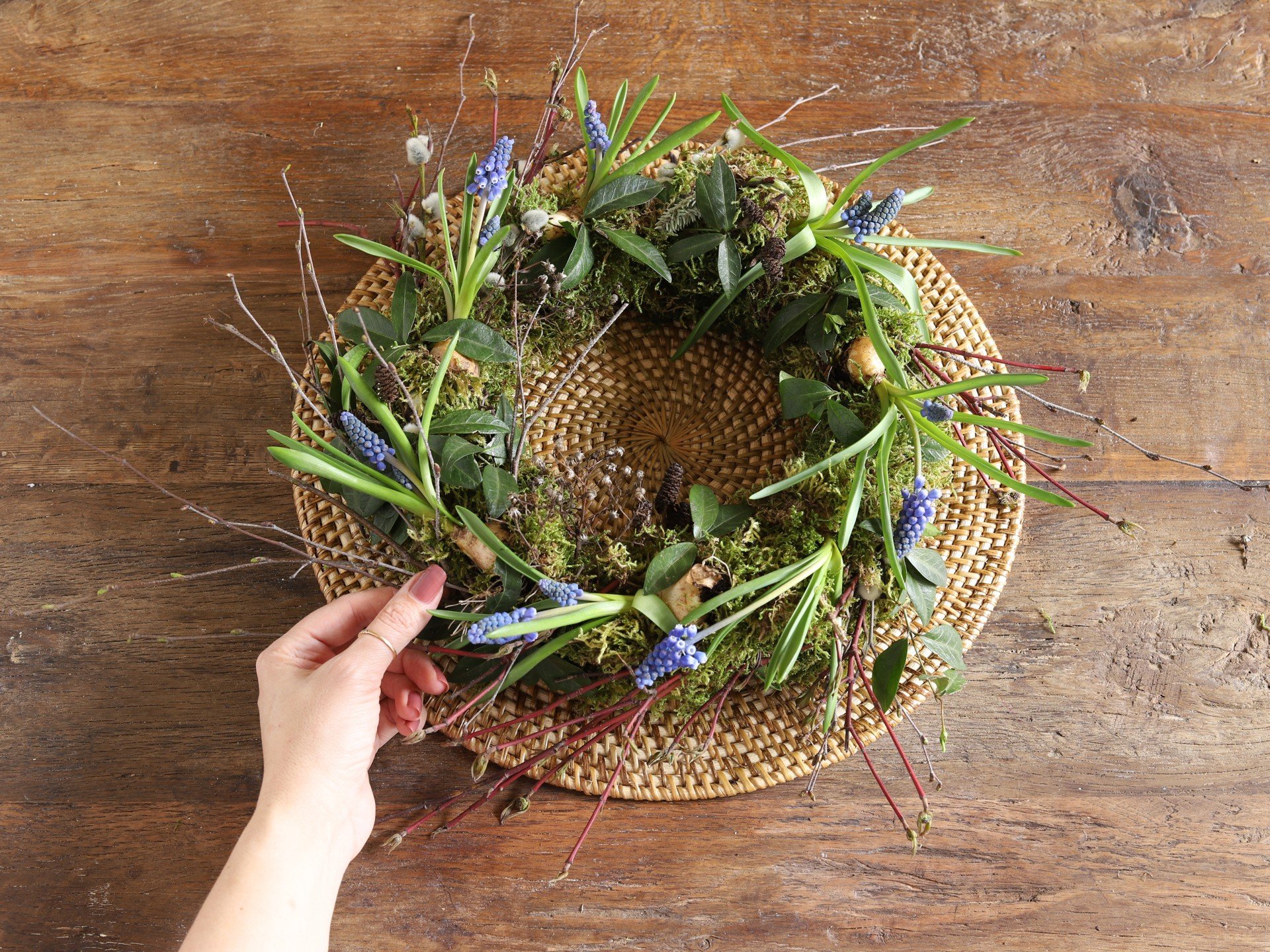 Tavaszi asztali koszorú mohából, hagymás virágokkal díszítve