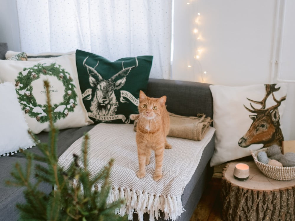 Inspirációk:  Karácsony, Nappali