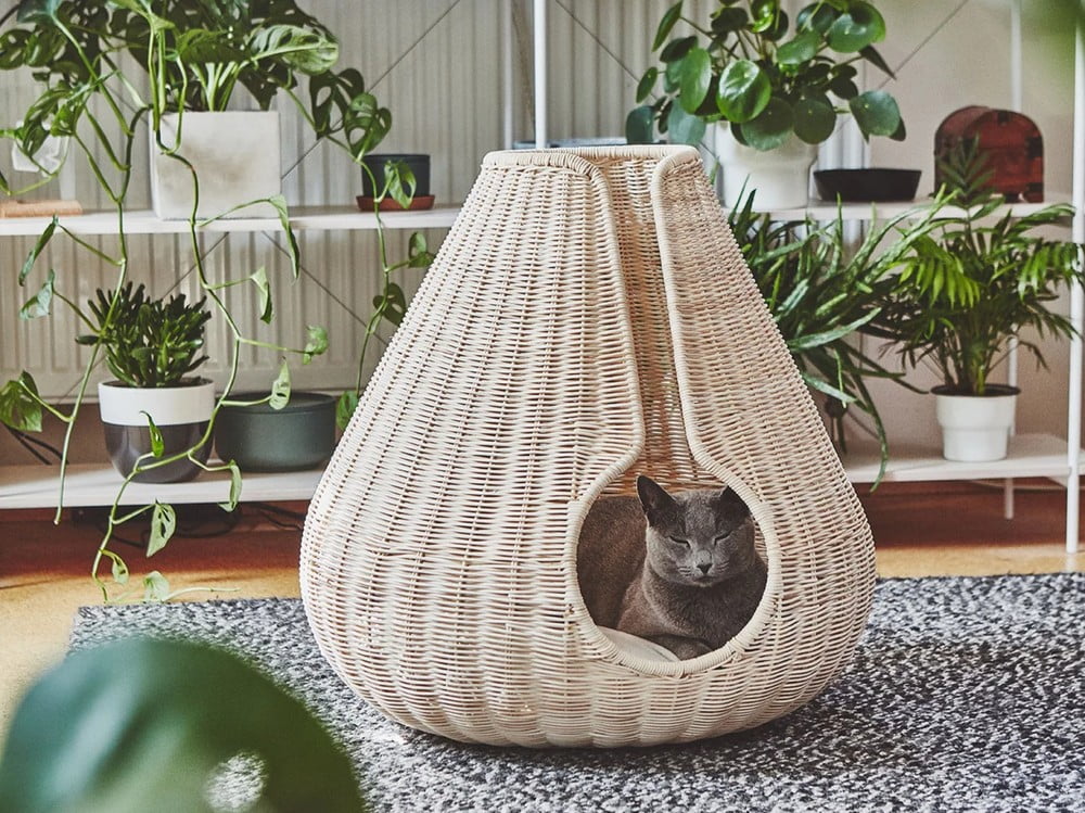 Inspirációk: Házi kedvenceknek