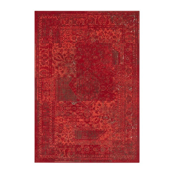 Celebration Plume piros szőnyeg, 120 x 170 cm - Hanse Home