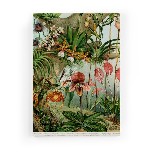 Jungle Flowers vászonkép, 40 x 60 cm - Surdic