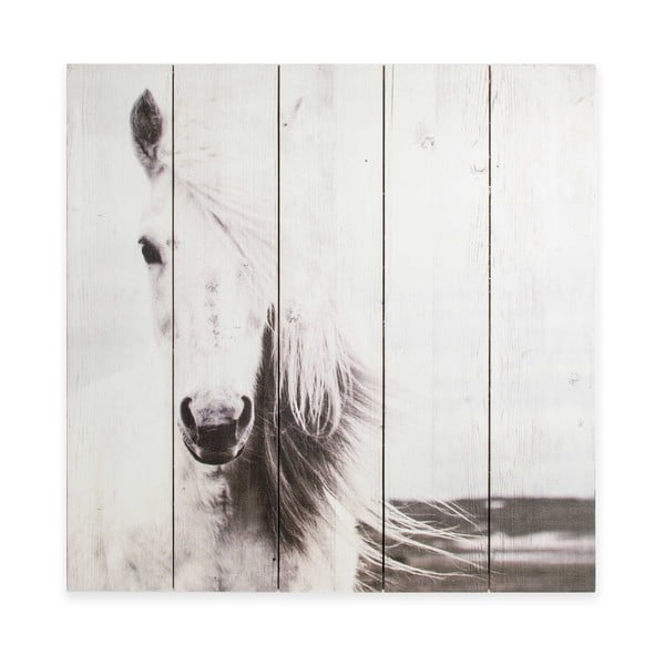 Horse fa fali kép, 50 x 50 cm - Graham & Brown