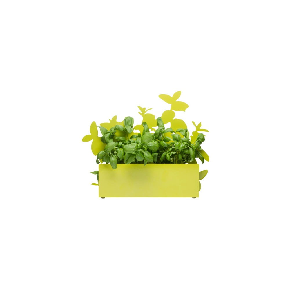 Herb zöld fűszertartó állvány - Sagaform