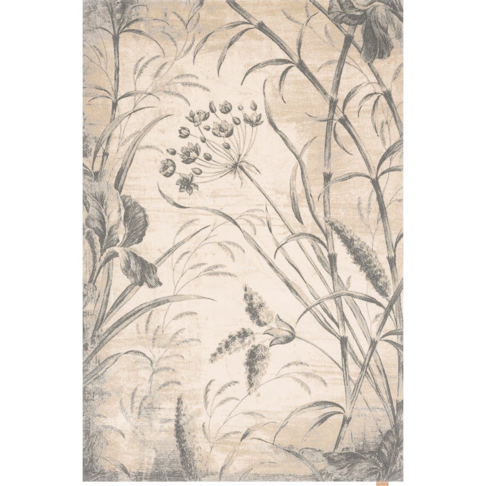 Krémszínű gyapjú szőnyeg 160x240 cm botany – agnella