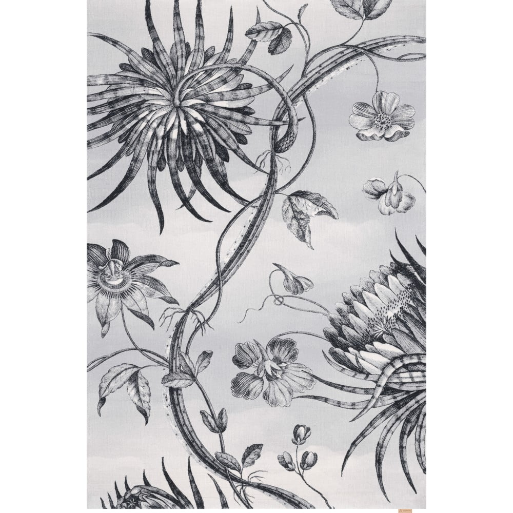 Világosszürke gyapjú szőnyeg 200x300 cm talwin – agnella