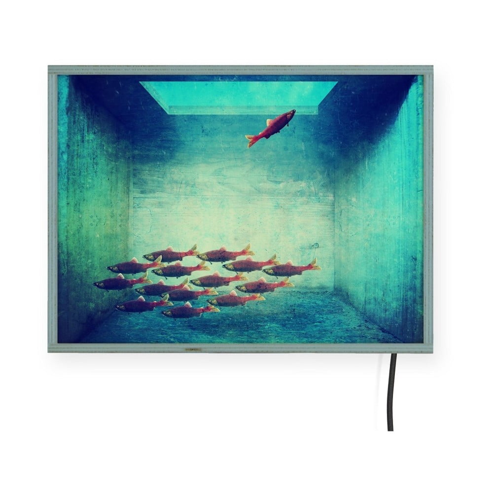 Free Fish világító fali dekoráció, 40 x 30 cm - Surdic
