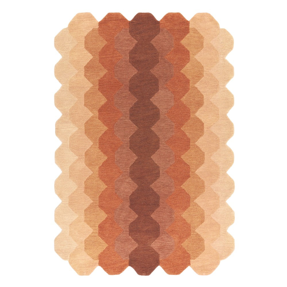 Téglavörös gyapjú szőnyeg 120x170 cm Hive – Asiatic Carpets