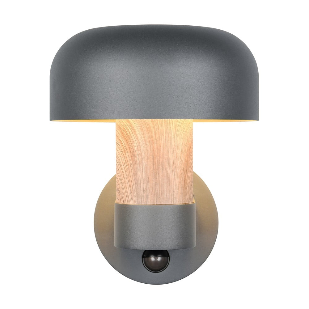 Fali kültéri lámpa (magasság 24,5 cm) Fraser – Trio