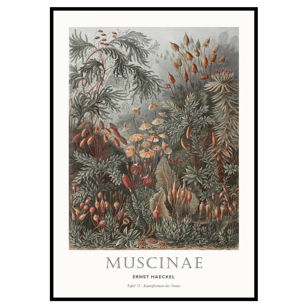 Kép 51x71 cm Tafel 72 – Malerifabrikken