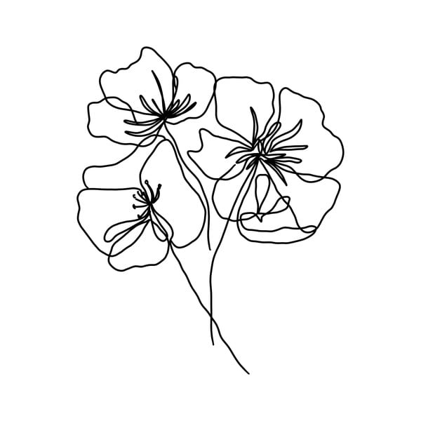 Poszter 29x41.4 cm Květy - Veronika Boulová