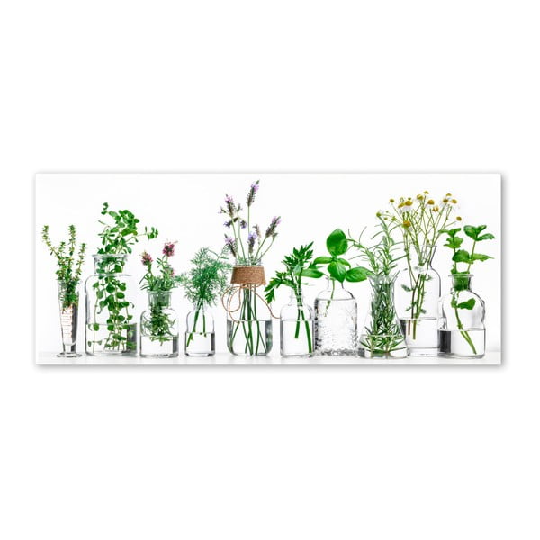 Glasspik Herbs kép, 30 x 80 cm - Styler