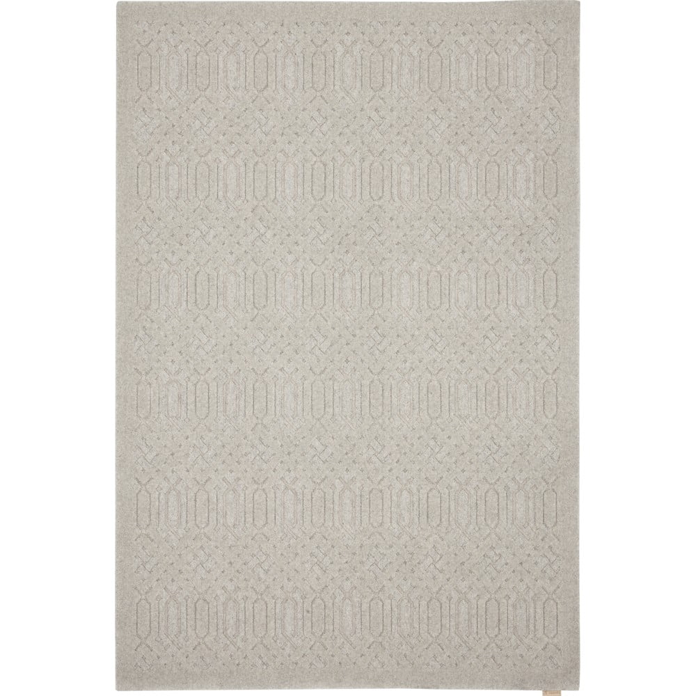 Világosszürke gyapjú szőnyeg 160x230 cm dive – agnella