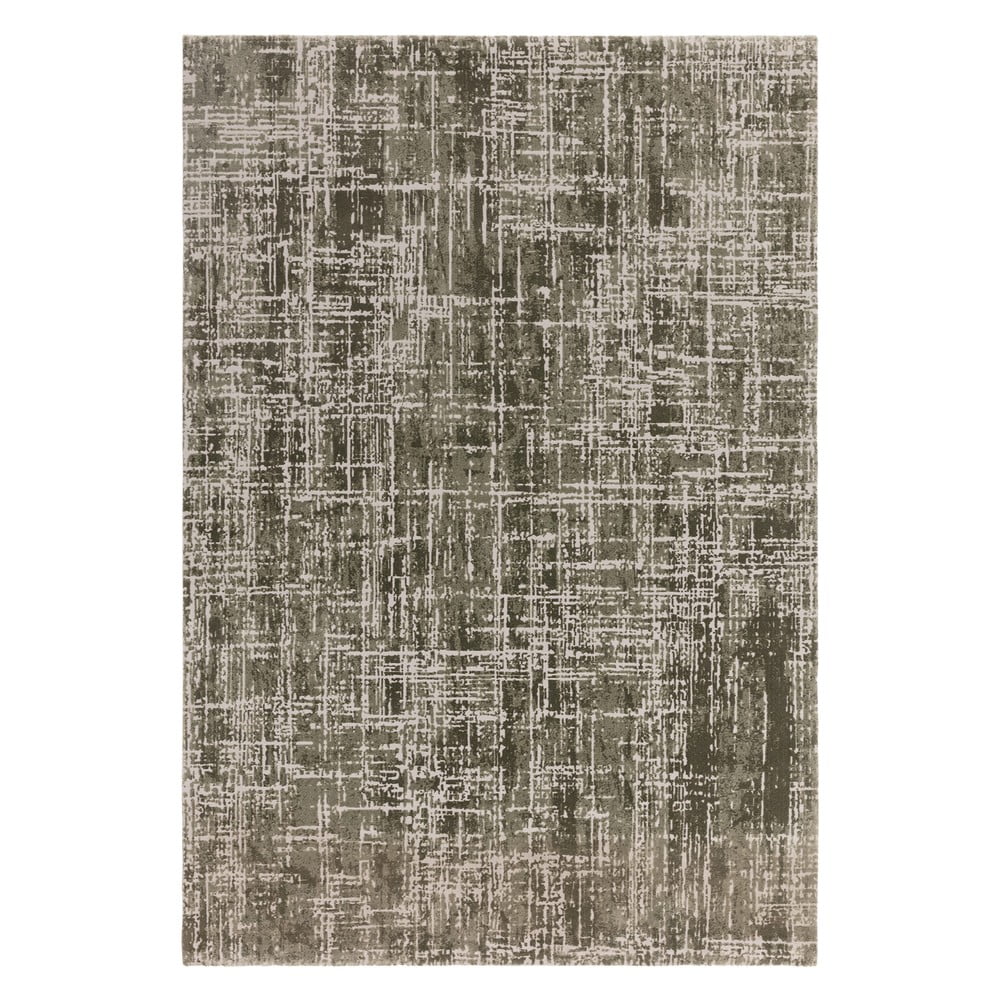 Khaki szőnyeg 240x340 cm kuza – asiatic carpets
