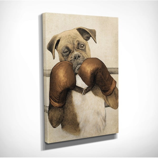Boxer vászon fali kép, 30 x 40 cm