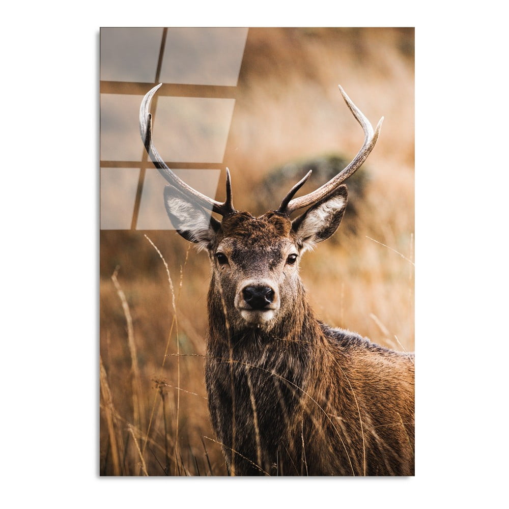 Üveg kép 70x100 cm deer – wallity