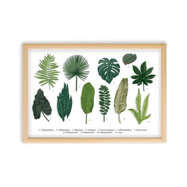 Leafes Guide kép borovi fenyőfa kerettel, 50 x 70 cm - Surdic