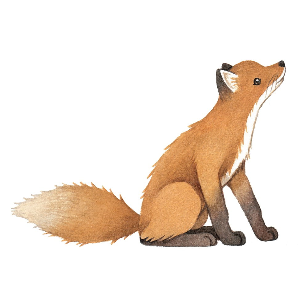 Gyerek matrica 43,5x45 cm Vintage Fox – Lilipinso