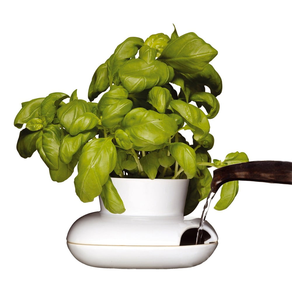 Herb porcelán kaspó fűszernövényekhez - Sagaform