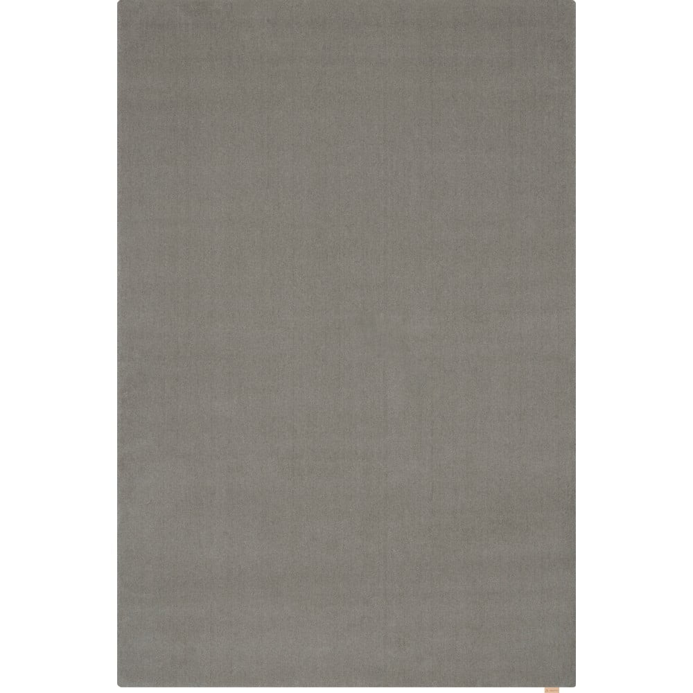 Szürke gyapjú szőnyeg 120x180 cm calisia m smooth – agnella