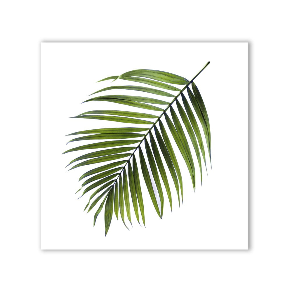 Canvas Greenery Black Palm kép, 32 x 32 cm - Styler