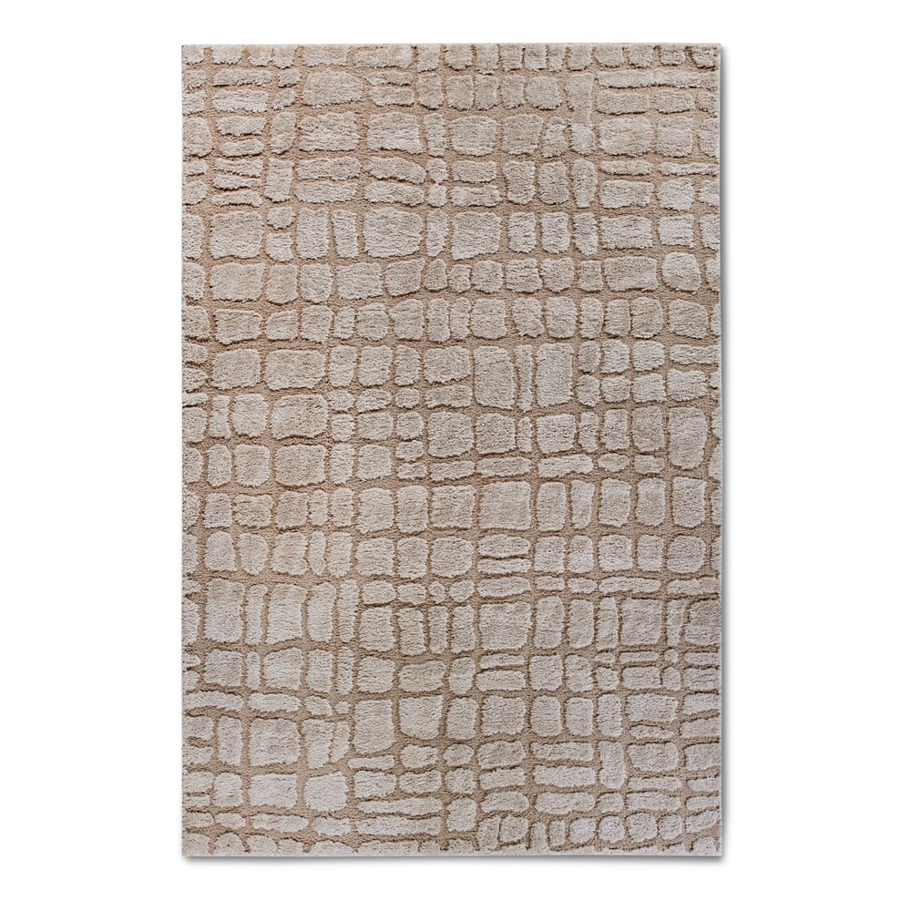 Bézs szőnyeg 160x235 cm artistique beige – elle decoration