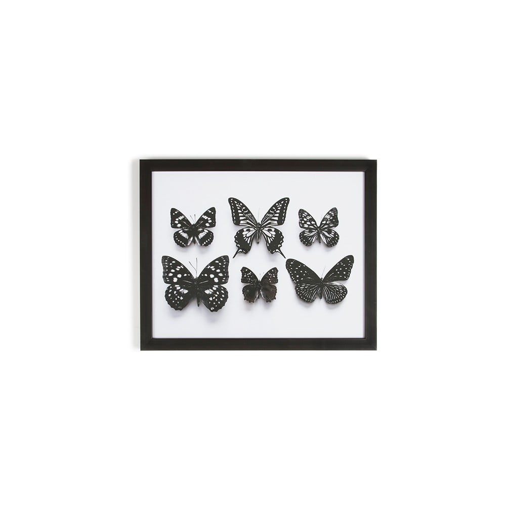 Botanical Butterfly keretezett fali kép, 50 x 40 cm - Graham & Brown