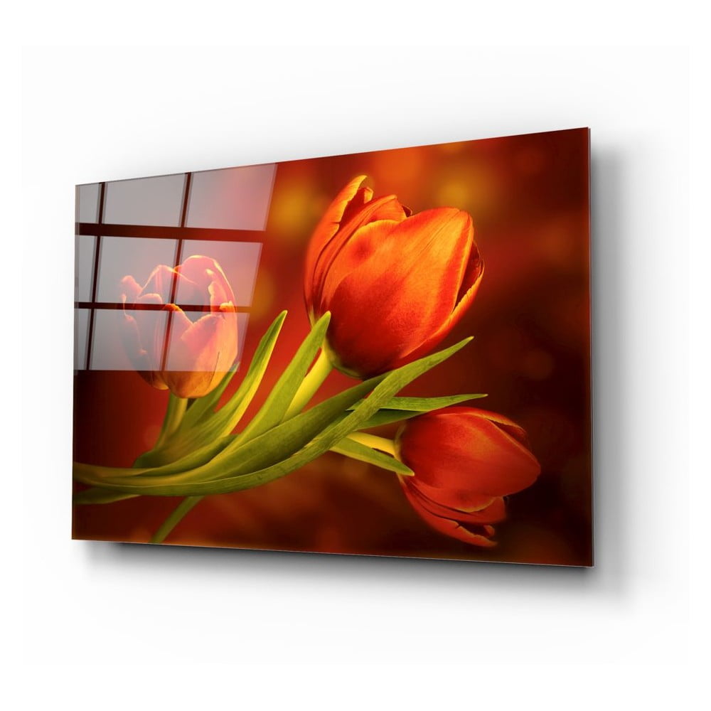 Tulips üvegezett kép - Insigne