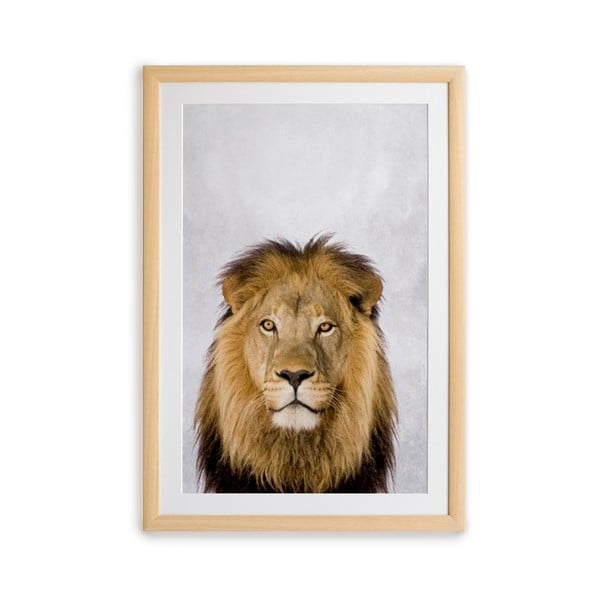 Lion keretezett falikép, 30 x 40 cm - Surdic