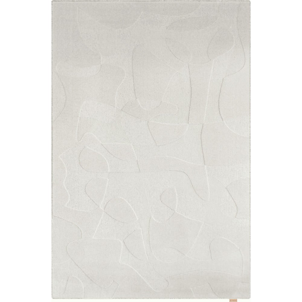 Világosszürke gyapjú szőnyeg 160x230 cm Morphic Botanica – Agnella