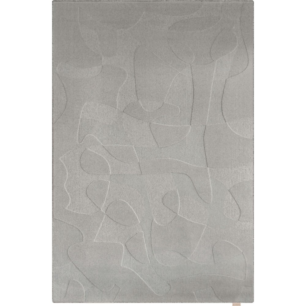 Szürke gyapjú szőnyeg 160x230 cm Morphic Botanica – Agnella