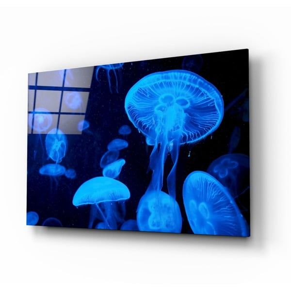 Jellyfish üvegezett kép - Insigne