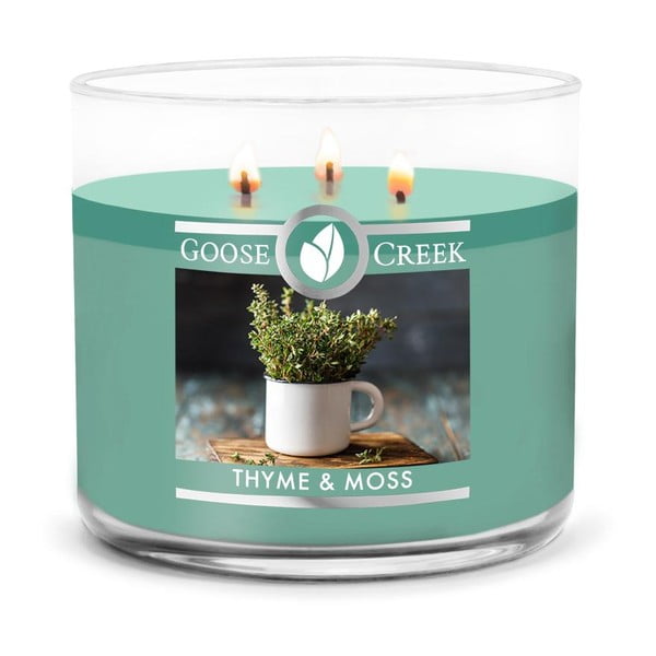 Thyme & Moss illatgyertya dobozban, égési idő 35 óra - Goose Creek