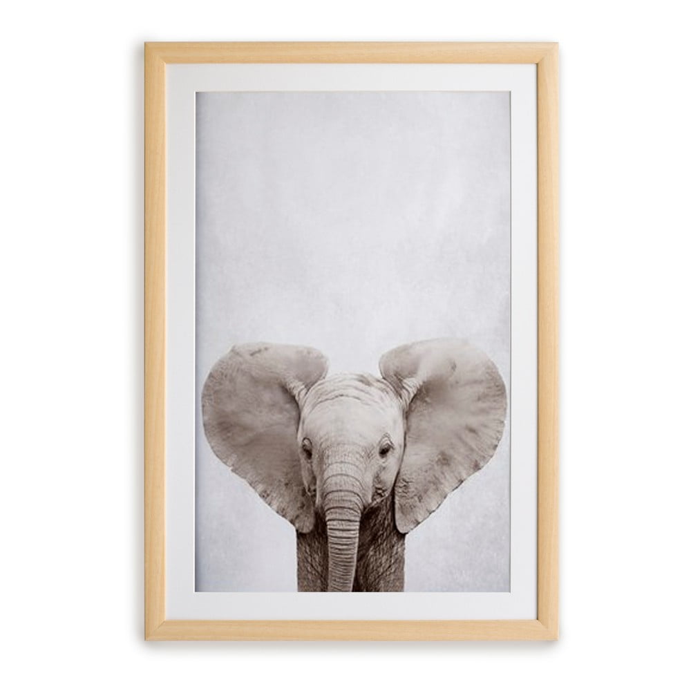 Elephant keretezett falikép, 30 x 40 cm - Surdic